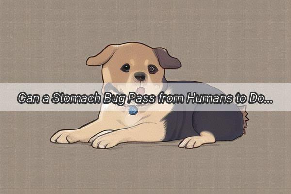 Can a Stomach Bug Pass from Humans to Dogs Unraveling the Surprising Truth